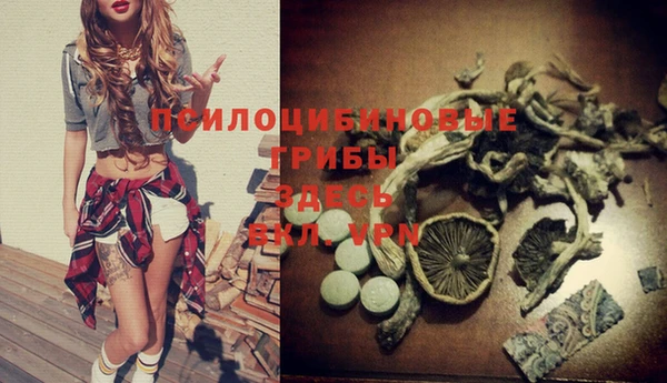 стаф Нея