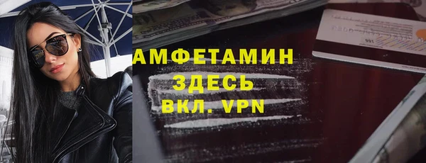 стаф Нея