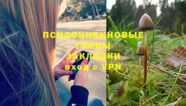 стаф Нея