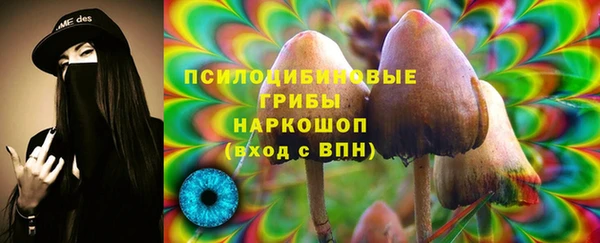 стаф Нея