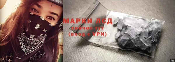 стаф Нея
