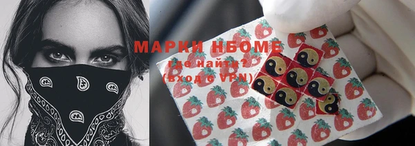 стаф Нея