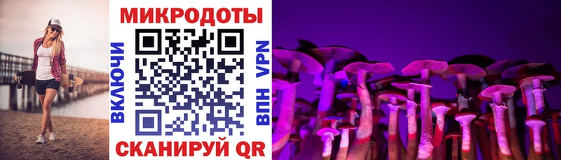 блэк спрут зеркало Кизляр Псилоцибиновые грибы прущие грибы