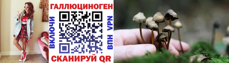 Псилоцибиновые грибы ЛСД Кизляр